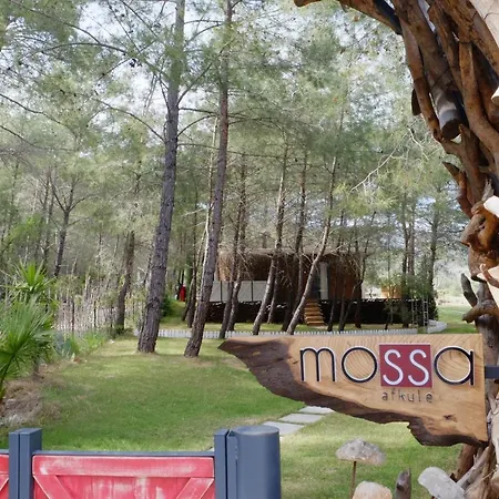 호텔 Mossa Afkule Kayakoey 페티예
